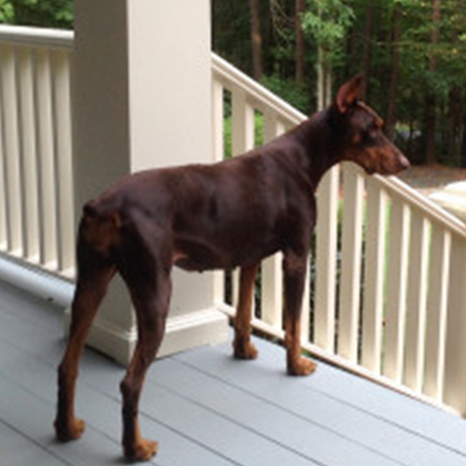 TDR_MadlenJack_Feature